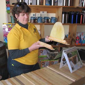 Instructor: Christy Hemenway