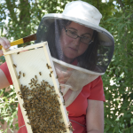 Dr. Deborah Delaney Assistant Professor Entomology & Wildlife Ecology University of Delaware