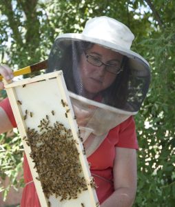 Dr. Deborah Delaney Assistant Professor Entomology and Wildlife Ecology University of Delaware Dr. Deborah Delaney Assistant Professor Entomology & Wildlife Ecology University of Delaware