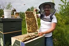 Erin MacGregor-Forbes, Master Beekeeper Erin MacGregor-Forbes, Master Beekeeper