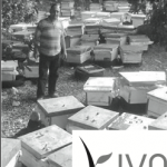 Davida’s first Kiva micro-loan recipient turns out to be an appreciative beekeeper in Lebanon.