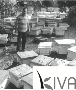 Davida’s first Kiva micro-loan recipient turns out to be an appreciative beekeeper in Lebanon. Davida’s first Kiva micro-loan recipient turns out to be an appreciative beekeeper in Lebanon.