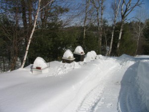 Hives in Snow - Maine Hives in Snow - Maine