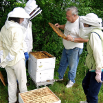 Sagadahoc Beekeepers Open Hive