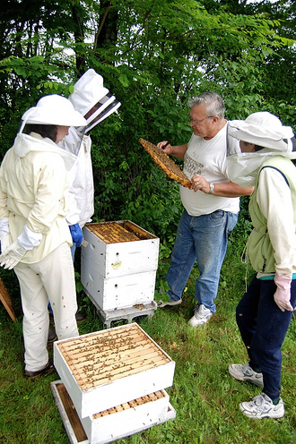 Sagadahoc Beekeepers Open Hive Sagadahoc Beekeepers Open Hive