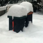 February 2011 - Hives in Snow