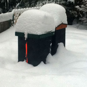 February 2011 - Hives in Snow February 2011 - Hives in Snow