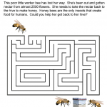 Home Sweet Home Maze