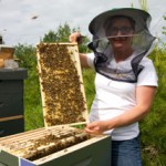 Erin Forbes, President Maine State Beekeepers Association
