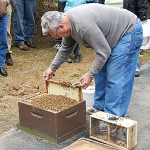 Installing a package of bees
