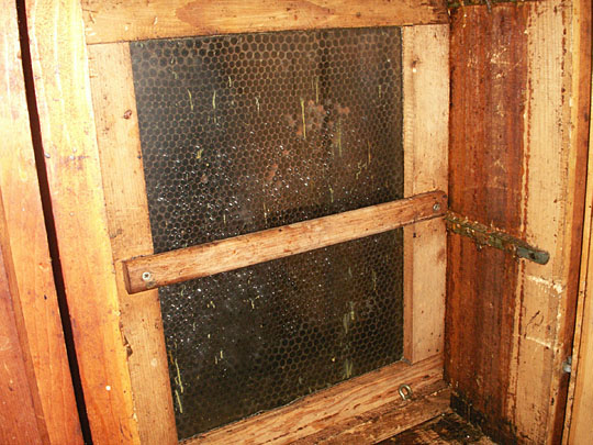 Often the Swiss bee house, like Aheniry's, is a product of the beekeeper's own hands. The frames are released for inspection by an end frame which otherwise keeps them all snugged up together. Often the Swiss bee house, like Aheniry's, is a product of the beekeeper's own hands. The frames are released for inspection by an end frame which otherwise keeps them all snugged up together.