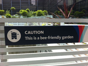 Bee-Friendly Garden (Seen in London) Bee-Friendly Garden (Seen in London)