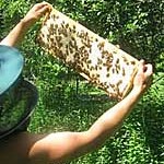 honey-ready-to-be-harvested-in-july-maine