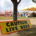 caution-live-bee-eas-rhode-island-featured