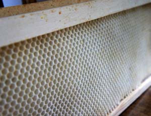 Now is the time to gather and properly store any remaining beekeeping equipment, dead outs and sort through honeycomb.