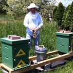 Lawrence Furbish enjoying his new apiary, back in Maine.