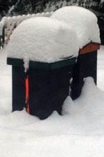 Bee Hives in Snow - Maine