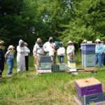 How to Make Summer Nucs - Hands-on Workshop