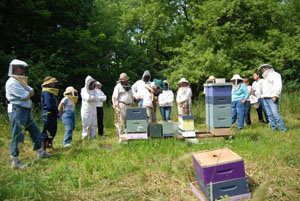 How to Make Summer Nucs - Hands-on Workshop
