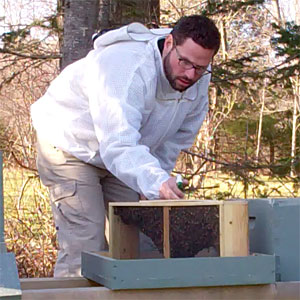 Spraying a Package of Bees with Sugar Water Spraying a Package of Bees with Sugar Water