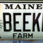beekpr-licence-plate-featured-images