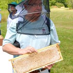 J. Hildreth - President of the Cumberland County Beekeepers Association with a spectacular frame of honey