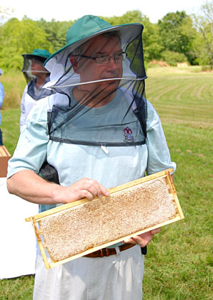 cumberland-county-beekeepers-president-2012,jpg J. Hildreth - President of the Cumberland County Beekeepers Association with a spectacular frame of honey