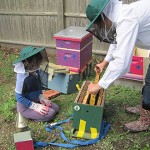 Jodi Moger and daughter transfer a nucleus colony to their new home, May 2010.