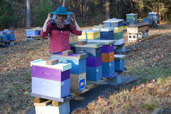 Erin MacGregor-Forbes, Master Beekeeper and Past President of the Maine Beekeepers Association Erin MacGregor-Forbes, Master Beekeeper and Past President of the Maine Beekeepers Association