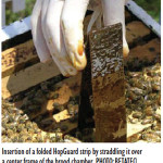 Good News: HopGuard Approval in Maine
