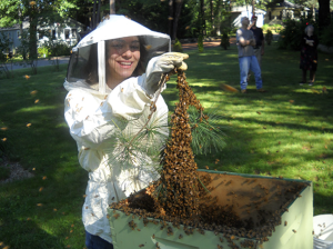 Sarah Gould installs a freshly caught swarm of bees.