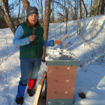Feeding Bees in Winter