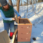Feeding Bees in Winter