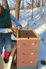 Feeding Bees in Winter