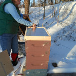 Feeding Bees in Winter