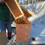 Feeding Bees in Winter