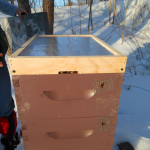 Feeding Bees in Winter