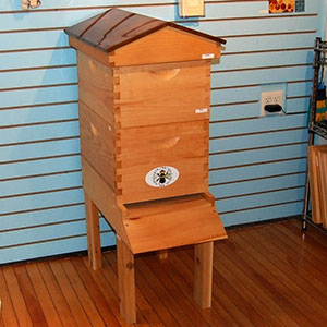 Hive Bodies - Courtesy of The Honey Exchange in Portland
