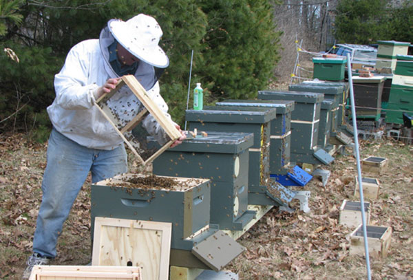 Spring 2009: Larry Pieffer installs packages