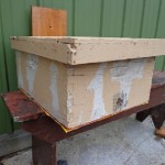 Front view of a hivebody-style bait hive for catching swarms; the vertical board is for nailing and/or tying to a tree trunk or other structure. The hardware cloth on the front entrance is there to prevent mice from moving in. PHOTO: ANNE FREY