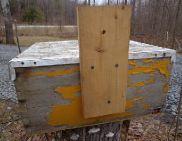 Back view of a hivebody-style bait hive for catching swarms; the vertical board is for nailing and/or tying to a tree trunk or other structure. The hardware cloth on the front entrance is there to prevent mice from moving in. PHOTO: ANNE FREY