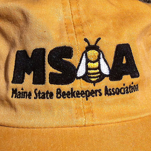 MSBA HAT