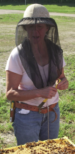 Marla Spivak explains hygienic behavior.