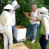 sagadahoc-open-hive