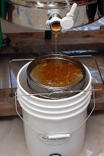 Summer Honey Harvest in Maine