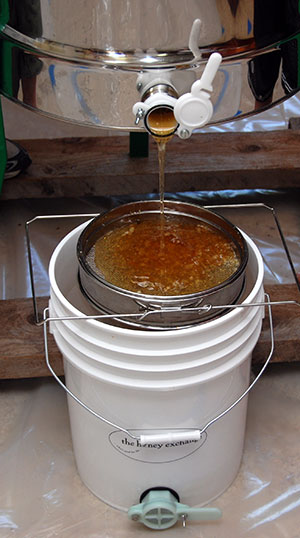 Summer Honey Harvest in Maine
