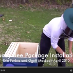 honey-bee-package-installation