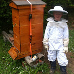 A Junior Beekeeper in Maine