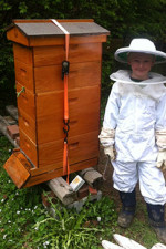 A Junior Beekeeper in Maine