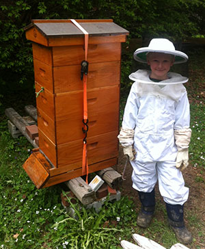 A Junior Beekeeper in Maine